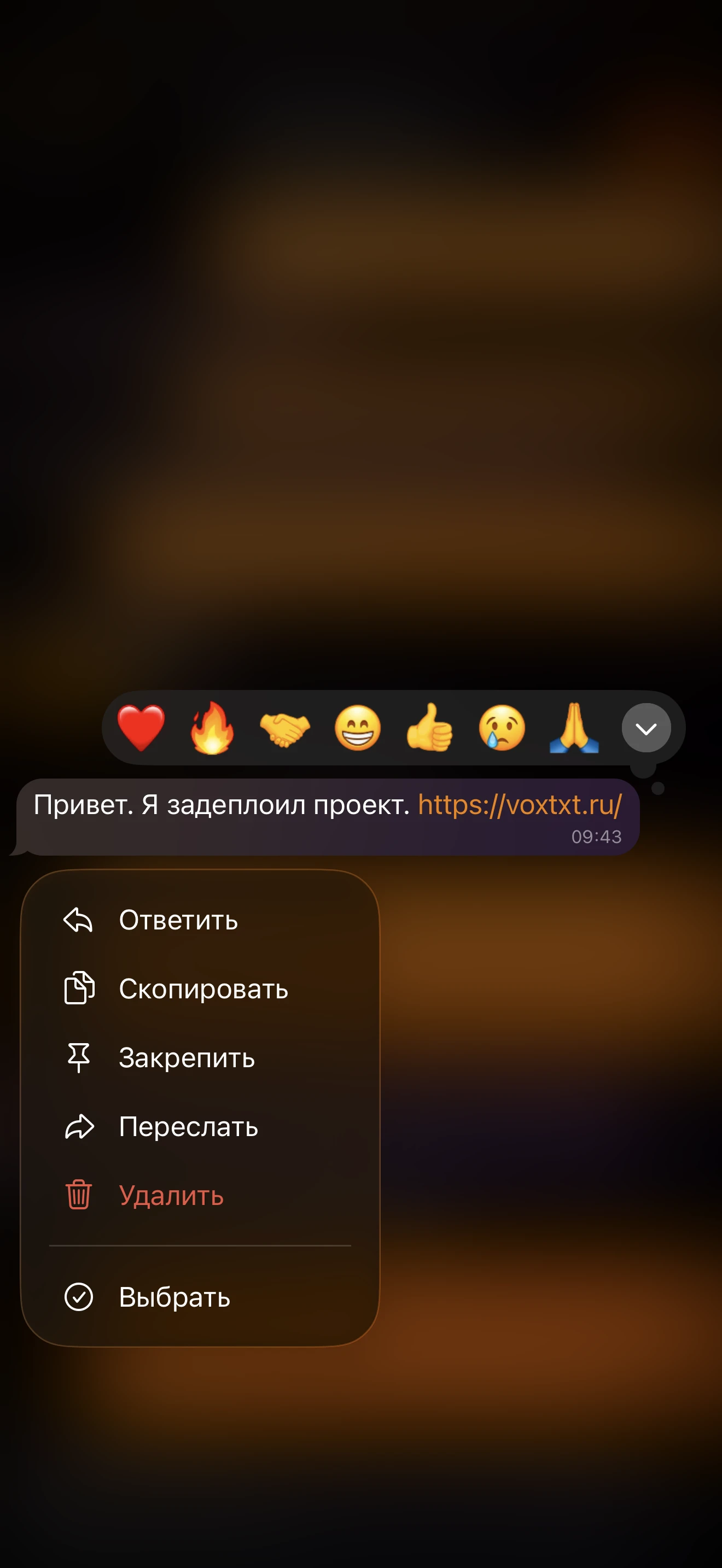 Скриншот переписки с учеником: ссылка на запущенный сервис voxtxt.ru